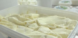 Kardiolog otkrio koja vrsta sira je najgora za srce! Ako ovo pojedete, možete dobiti MOŽDANI UDAR - featured image