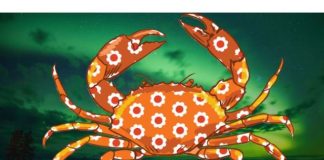 Zaslužena sreća stiže: Ovi horoskopski znaci će doživeti čaroliju dobrih dela! - featured image