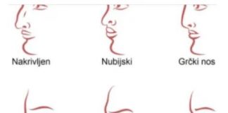 ZVUČI ČUDNO, ALI JE ISTINITO: Evo šta OBLIK NOSA govori O VAMA! Svima je pogodilo - featured image