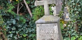 Mali Zvonimir (9) otišao na grob svoje majke i zaspao, ujutru ga našli prekrivenog snegom: Ovo je najtužnija priča svih vremena! - featured image