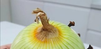 Trik moje bake s lukom činio se čudnim – sve dok nisam otkrio razlog koji stoji iza toga! Nikada više neću kuhati na isti način - featured image