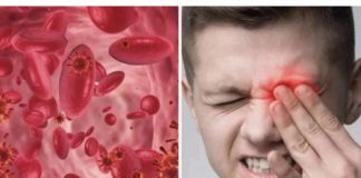 OVO SU SIMPTOMI NISKOG ŽELJEZA U KRVI: Tijelo vas upozorava JEDNIM SIMPTOMOM – ODMAH REAGUJTE - featured image