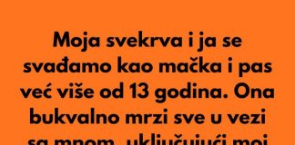 Posvađala sam se sa svekrvom zbog sitnice i na kraju otkrila prljavu porodičnu tajnu - featured image