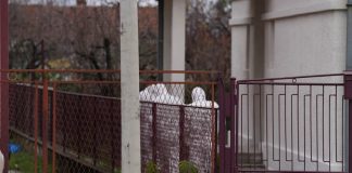 (FOTO) "KUĆA KAO DA JE UKLETA" Komšija otkrio jezive detalje: Bivši vlasnik se u njoj objesio, a danas je SIN SVIREPO UBIO MAJKU I OCA - featured image