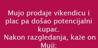 VIC DANA: PRODAJA VIKENDICE - featured image