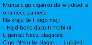VIC DANA: Cigo i ciganka - featured image
