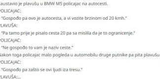 VIC DANA !!! PLAVUŠA NA AUTOCESTI - featured image