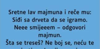 VIC: Majmun i lav - featured image