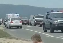 Mala devojčica sa velikim srcem: Priča sa ulice koja je podsetila svet šta znači biti čovek