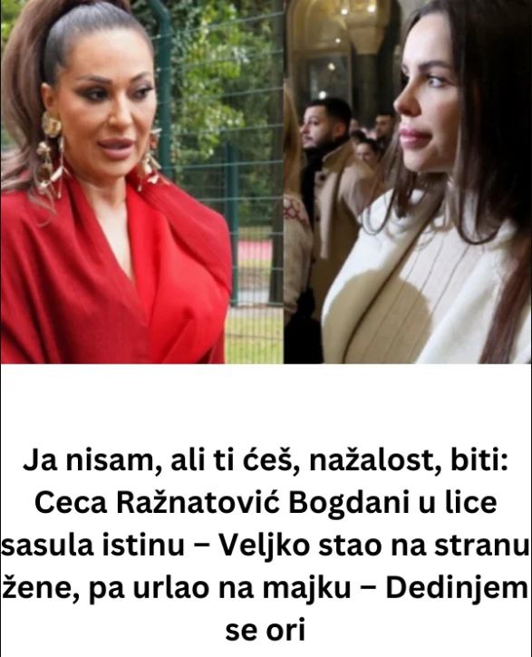 CecaBogdani U LlCE SASULA lSTlNU – Veljko stao na stranu žene, pa urlao na majku… - featured image CecaBogdani U LlCE SASULA lSTlNU – Veljko stao na stranu žene, pa urlao na majku… - featured image