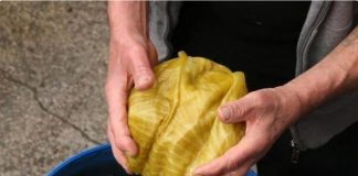 Kiseli kupus može da traje do ljeta, samo dodajte ovaj sastojak - featured image