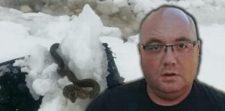 STANJE ZABRINJAVAJUĆE, OPREZ! ZMlJE lSPUZALE U SRED ZlME! Vjeruje se da 0V0 nije dobar znak: Dobro obratite pažnju na ovo! - featured image