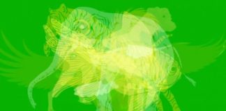 TEST: Prva životinja koju ugledate otkriva kakvu osobnost imate! - featured image