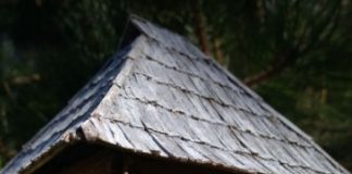 Nema gore nesreće nego ako pred vratima imate ovo: Veruje se da donosi bedu i siromaštvo u kuću - featured image