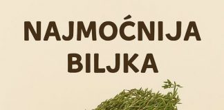 RECEPT ZA PRIRODNO LJEKOVITO ULJE: Prirodni saveznik protiv infekcija - featured image