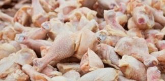Koliko dugo piletina smije da stoji u frižideru, a koliko u zamrzivaču? Odgovor će vas iznenaditi - featured image