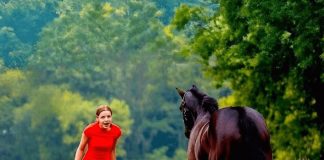 Ovaj video je šokirao ceo svet… Samo pogledajte šta je devojka uradila pastuhu… - featured image