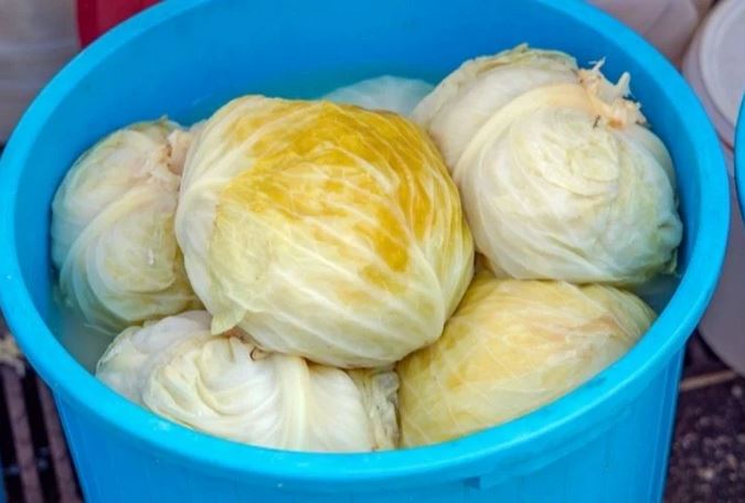 Kiseli kupus je počeo da pjeni? Trajaće vam do ljeta ako dodate samo 1 sastojak - featured image Kiseli kupus je počeo da pjeni? Trajaće vam do ljeta ako dodate samo 1 sastojak - featured image