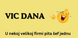 VIC DANA: Godine - featured image