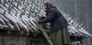 Starija žena je tokom celog leta i jeseni postavljala oštre drvene kolce na krov svoje kuće. Komšije su se smeškale — sve dok nije stigla zima. - featured image