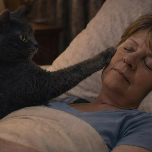Mačka je svake noći budila svoju vlasnicu i tjerala je iz spavaće sobe: žena je mislila da mačka ima psihičke probleme, sve dok je nije odvela veterinaru. - featured image Mačka je svake noći budila svoju vlasnicu i tjerala je iz spavaće sobe: žena je mislila da mačka ima psihičke probleme, sve dok je nije odvela veterinaru. - featured image