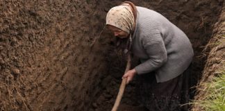 Svi u selu su odlučili da je starica poludela kada je počela kopati ogroman rov usred dvorišta, ali kada su ljudi videli šta je tačno ona iskopala, svi su bili šokirani.😲😲 - featured image