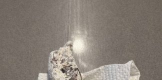 Pronašla sam nešto čudno u pakovanju brašna: odlučila sam otvoriti celofan da vidim šta je unutra… i kada sam shvatila šta je, bila sam potpuno šokirana. - featured image