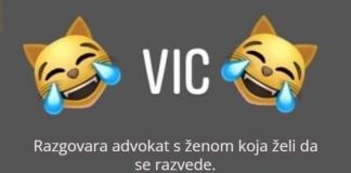 VIC DANA: Razvod - featured image