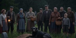 Pas se nije micao danima – a kada su videli šta je unutra nisu mogli da veruju - featured image