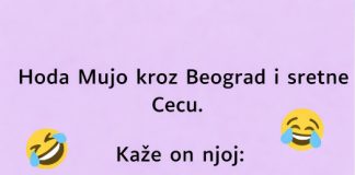 VIC: Mujo sretne Cecu - featured image