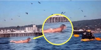 Snimala je svoju kćerku na plaži, ali nije ni slutila šta će se desiti narednih sekundi! - featured image