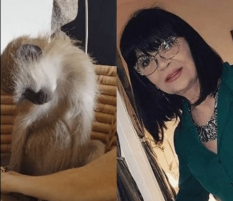 Nada Obrić živela sa majmunom, hranila ga, sa sobom vodila: Nije ni slutila šta će je te večeri snaći u podrumu - featured image Nada Obrić živela sa majmunom, hranila ga, sa sobom vodila: Nije ni slutila šta će je te večeri snaći u podrumu - featured image