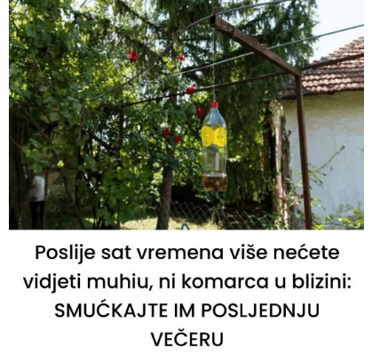 Poslije sat vremena više nećete vidjeti muhu, ni komarca u blizini: SMUĆKAJTE IM POSLJEDNJU VEČERU - featured image Poslije sat vremena više nećete vidjeti muhu, ni komarca u blizini: SMUĆKAJTE IM POSLJEDNJU VEČERU - featured image