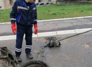 IZVUKLI “KAPITALCA” OD DVA METRA IZ KANALIZACIJE: Radnici ŠOKIRANI prizorom u naselju Vojvode Vlahovića! (FOTO) IZVUKLI “KAPITALCA” OD DVA METRA IZ KANALIZACIJE: Radnici ŠOKIRANI prizorom u naselju Vojvode Vlahovića! (FOTO) - featured image