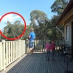 OTAC ILIJA UHVAĆEN SA ĆERKAMA NA BALKONU, MAJKA ODMAH IZLETJELA: Vrištali su dok su to radili , UŽAAS, IZVADIO JE SVOG MAČ0RA (VIDEO) - featured image