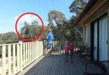 OTAC ILIJA UHVAĆEN SA ĆERKAMA NA BALKONU, MAJKA ODMAH IZLETJELA: Vrištali su dok su to radili , UŽAAS, IZVADIO JE SVOG MAČ0RA (VIDEO) - featured image