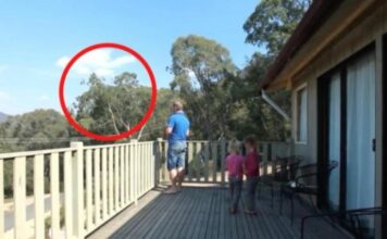 OTAC ILIJA UHVAĆEN SA ĆERKAMA NA BALKONU, MAJKA ODMAH IZLETJELA: Vrištali su dok su to radili , UŽAAS, IZVADIO JE SVOG MAČ0RA (VIDEO) - featured image